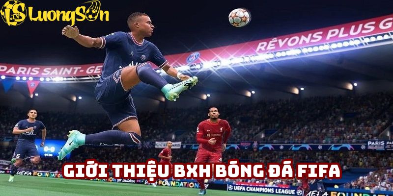 Bảng xếp hạng bóng đá FIFA ra đời từ năm 1992