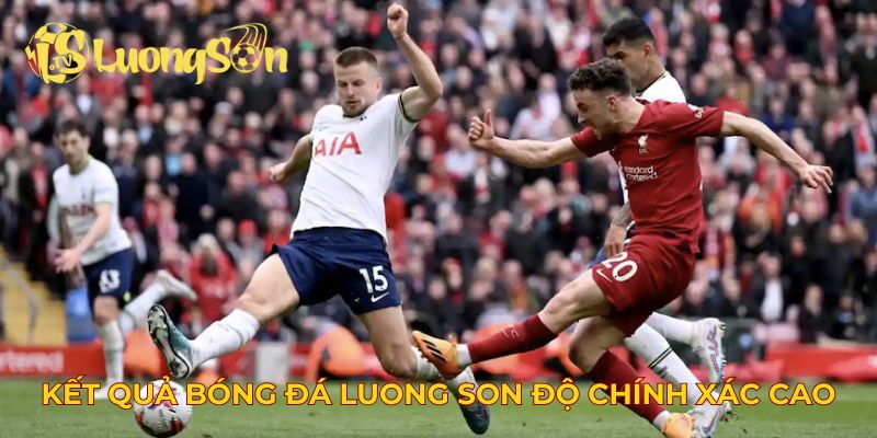 Kết quả bóng đá Luong Son độ chính xác cao