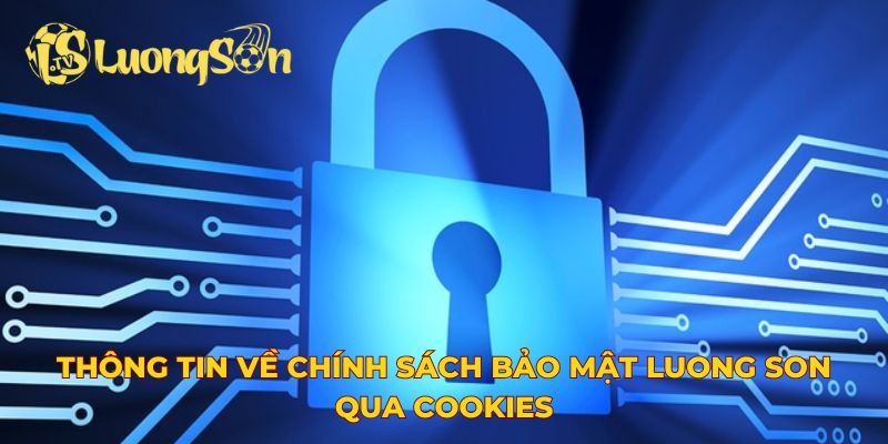 Thông tin về chính sách bảo mật Luong Son qua cookies